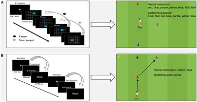 Developing integrative practice on basic soccer skills to stimulate cognitive promotion for children and adolescents